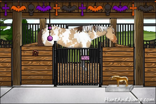 Horse Color:White Spotted Buckskin Dun Appaloosa 