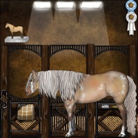 Horse Color:White Spotted Silver Brown Dun Tobiano Rabicano