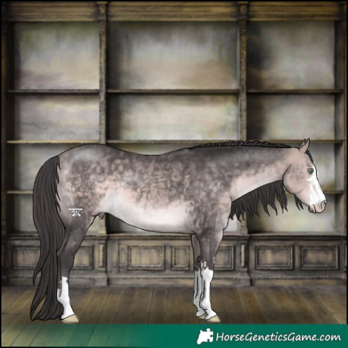Horse Color:Platinum Buckskin 