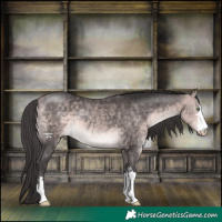 Horse Color:Platinum Buckskin 