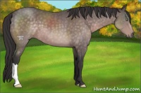Horse Color:Platinum Buckskin 