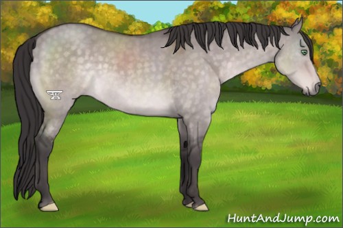 Horse Color:Platinum Buckskin Dun 