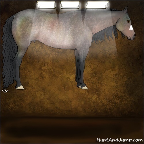 Horse Color:Platinum Brown Rabicano 