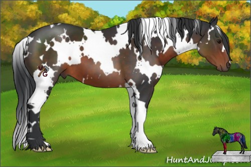 Horse Color:White Spotted Brown 