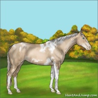 Horse Color:Chocolate Palomino Pearl Tobiano Frame  and Chocolate Palomino Pearl Tobiano Frame 