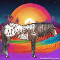 Horse Color:Bay Sabino Splash Blanket  and Bay Sabino Splash Frame Blanket 