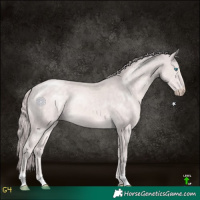 Horse Color:Platinum Chocolate Perlino 