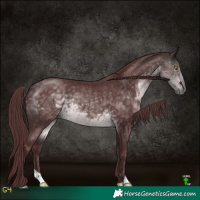 Horse Color:Platinum Chocolate Buckskin 
