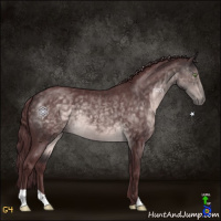 Horse Color:Platinum Chocolate Buckskin