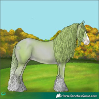 Horse Color:Watercolor Gold Champagne Splash 