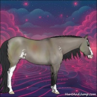 Horse Color:Grullo Sabino 