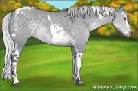 Horse Color:Silver Grullo Chinchilla Splash Tobiano 