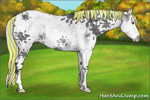 Horse Color:Painted White Spotted Silver Brown Chinchilla Ice Splash Tobiano