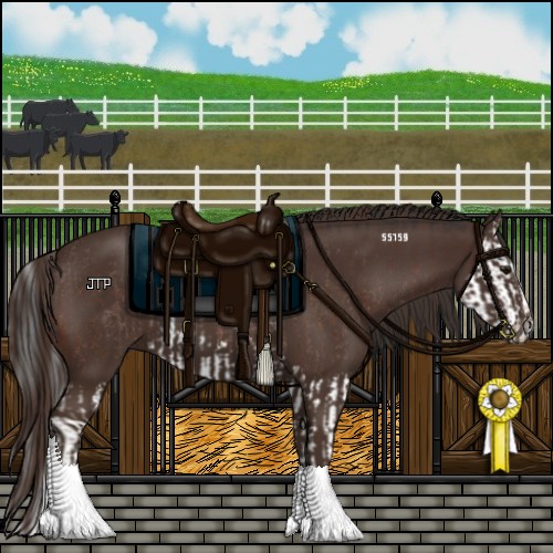 Horse Color:Brown Sabino Splash Rabicano  and Liver Chestnut Sabino 