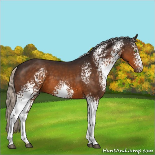 Horse Color:White Spotted Silver Buckskin 