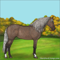 Horse Color:Silver Brown Dun 