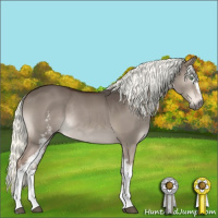 Horse Color:White Spotted Liver Red Dun Mushroom Sabino Rabicano 