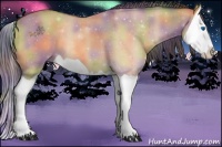 Horse Color:Nacre Bay Dun Splash 