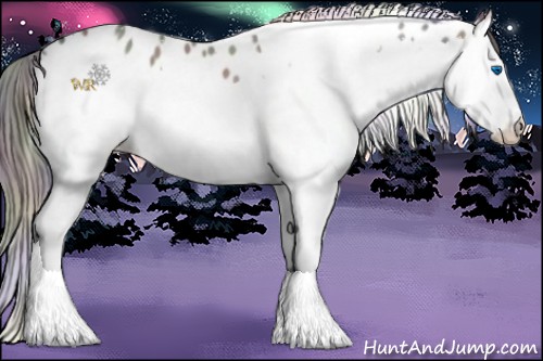 Horse Color:Nacre White Spotted Grullo Splash Appaloosa