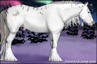 Horse Color:Nacre White Spotted Grullo Splash Near Leopard 