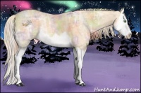 Horse Color:Nacre Gold Champagne Ice Splash