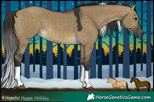 Horse Color:Buckskin Dun Tobiano 