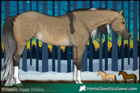 Horse Color:Buckskin Dun Tobiano