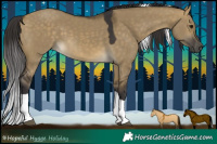 Horse Color:Buckskin Dun Tobiano 