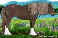 Horse Color:Liver Chestnut  and Liver Chestnut 