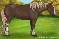 Horse Color:Liver Chestnut  and Liver Chestnut 