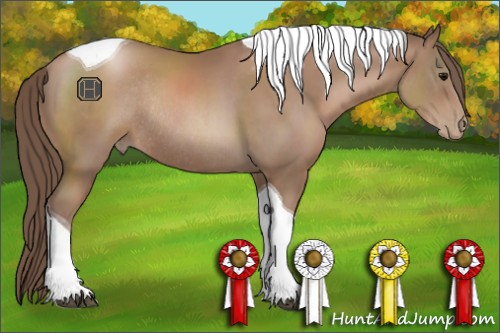 Horse Color:Black Pearl Tobiano Rabicano 