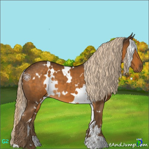 Horse Color:White Spotted Chocolate Palomino 