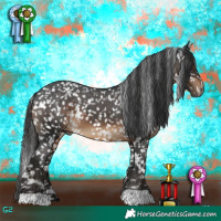 Horse Color:Gray White Spotted Brown Appaloosa 