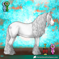 Horse Color:Gray White Spotted Brown Appaloosa