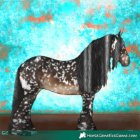 Horse Color:Gray White Spotted Brown Blanket 