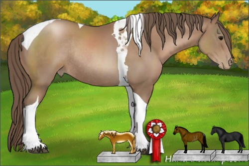 Horse Color:Black Pearl Tobiano Rabicano 