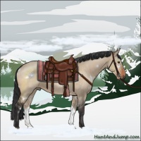 Horse Color:White Spotted Bay Dun Sabino 