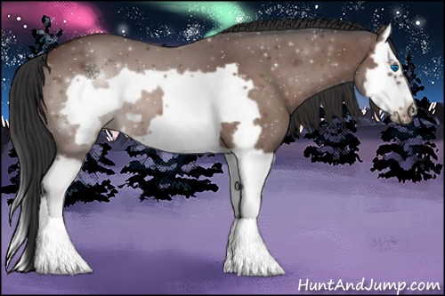 Horse Color:Brown Roan Splash Frame