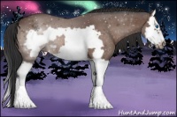 Horse Color:Brown Roan Splash Frame 