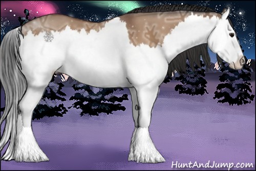 Horse Color:Bay Ice Dun Sabino Splash 