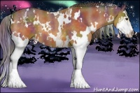 Horse Color:Nacre White Spotted Buckskin Splash 