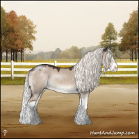 Horse Color:Liver Red Dun Mushroom Splash Rabicano 