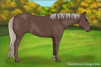 Horse Color:Silver Black 