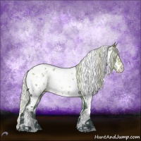 Horse Color:Silver Grullo Chinchilla Splash Tobiano Appaloosa 