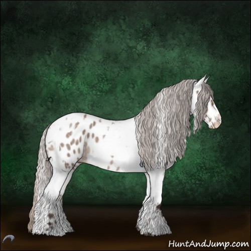Horse Color:Silver Brown Roan Dun Tobiano Appaloosa 