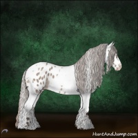 Horse Color:Silver Brown Roan Dun Tobiano Appaloosa 