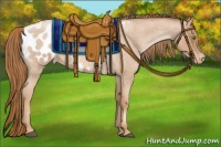 Horse Color:Red Roan Pearl Appaloosa 