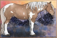 Horse Color:White Spotted Silver Black Pearl Tobiano 