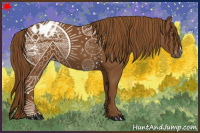 Horse Color:Gray Chestnut Blanket 