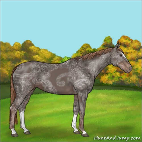 Horse Color:Liver Chestnut Ice Sabino 